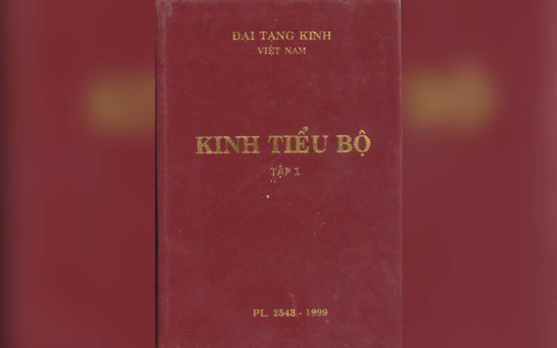 Mục lục Tập I 1.1 Kinh Tiểu Tụng (Việt-Anh) 1.2 Kinh Pháp Cú (Việt-Anh) 1.3 Kinh Phật Tự Thuyết 1.4 Kinh Phật Thuyết Như Vậy 1.5 Kinh Tập Tập II 2.1 Chuyện Thiên Cung 2.2 Chuyện Ngạ Quỷ Tập III 3.1 Trưởng Lão Tăng Kệ 3.2 Trưởng Lão Ni Kệ Tập IV Chuyện Tiền Thân I (số 1-120) Tập V Chuyện Tiền Thân II (số 121-263) Tập VI Chuyện Tiền Thân III (số 264-395) Tập VII Chuyện Tiền Thân IV (số 396-472) Tập VIII Chuyện Tiền Thân V (số 473-520) Tập IX Chuyện Tiền Thân VI (số 521-539) Tập X Chuyện Tiền Thân VII (số 540-547) Giới thiệu Tiểu Bộ Kinh (Khuddaka Nikàya) Giáo sư Trần Phương Lan Tiểu Bộ kinh có nhan đề "Tiểu Bộ", nhưng lại chứa đựng số lượng kinh lớn nhất trong năm bộ Nikàya là 15 tập, so với Trường Bộ (3 tập), Trung Bộ (3 tập), Tương Ưng Bộ (5 tập) và Tăng Chi Bộ (3 tập). Chữ "Tiểu" ở đây, theo các vị luận sư, muốn chỉ tính cách hỗn hợp nhiều đề tài được diễn tả bằng nhiều thể văn khác nhau, từ các kinh kệ ngắn gọn do Ðức Phật thuyết giảng, các tiền thân Ðức Phật với hàng ngàn bài kệ do các vị Tỳ kheo cảm tác, tiểu sử các Ðức Phật, các vị A la hán, sự tích Thiên cung, Ngạ quỷ do chư vị kết tập kinh điển biên soạn..., đến các luận thư phân tích giáo lý mở đầu cho văn học A Tì Ðàm (Abhidhamma) của Luận tạng về sau. Tóm lại Tiểu Bộ kinh là một hợp tuyển đa diện gồm 15 tập theo thứ tự như sau: 1) Khuddaka Pàtha (Tiểu tụng): gồm 9 kinh và kệ ngắn gọn do Ðức Phật thuyết về Tam quy, Thập giới, Các điềm lành, Phật bảo, Lòng từ v.v. cho các đệ tử mới học đạo. 2) Dhammapada (Pháp cú): gồm 423 bài kệ do Ðức Phật thuyết được sắp theo các chủ đề trong 26 phẩm, là tập kinh phổ biến nhất trong các nước theo đạo Phật Nam truyền vì tính cách cô đọng phần cốt tủy của giáo lý qua các bài kệ ngắn gọn làm nền tảng của nếp sống đạo, từ đó nhiều bộ kinh lớn được phát triển về sau. 3) Udàna (Cảm hứng ngữ, Phật tự thuyết): gồm 80 chuyện gợi niềm cảm hứng để Ðức Phật phát biểu những vấn đề hoan hỉ có tính cách giáo dục và khích lệ hội chúng, được chia làm 8 phẩm. 4) Itivuttaka (Phật thuyết như vậy): gồm 112 kinh chia ra 4 chương theo lối văn xuôi pha lẫn thơ kệ. Tập này cũng trích dẫn những cảm hứng ngữ trang nghiêm của Ðức Phật nhưng bắt đầu bằng câu "Ðây là điều được Ðức Thế Tôn thuyết và tôi nghe như vậy". 5) Suttanipàta (Kinh tập): gồm 71 kinh trong 5 chương viết theo thể kệ, miêu tả hoàn cảnh xã hội cổ Ấn Ðộ và bàn luận những lời dạy đầy tính cách triết học và đạo đức của Ðức Phật, cùng lý tưởng trong nếp sống thanh tịnh của các Tỳ kheo. 6) Vimanavatthu (Chuyện Thiên cung): gồm 85 chuyện chia ra 7 chương, miêu tả mọi cảnh huy hoàng của các lâu đài Thiên giới ở đời sau dành cho những người sống theo chánh đạo và làm thiện sự ở đời này. 7) Petavatthu (Chuyện Ngạ quỷ): gồm 51 chuyện trong 4 chương miêu tả cảnh giới khổ đau của các loài quỷ do ác nghiệp của chúng tạo ra ở đời này. Cả hai tập chuyện Thiên cung và Ngạ quỷ này nhằm nói lên tương quan giữa Nghiệp và Quả, cùng khích lệ sự tu tập của giới tại gia. 8) Theragàthà (Trưởng lão Tăng kệ): gồm 1,360 bài thơ kệ do 264 vị Tỷ kheo cảm tác từ đời sống tu tập của chư vị. 9) Therigàthà (Trưởng lão Ni kệ): gồm 524 bài kệ do 73 Tỷ kheo ni cảm tác. Cả hai tập thi kệ Theragàthà và Therigàthà được đánh giá là những tác phẩm đẹp nhất trong văn học Ấn Ðộ vì tính cách mang nặng tình người hòa lẫn thiền vị của các đệ tử Phật. Ðây là những khúc hoan ca phản ánh đời sống thanh tịnh của những người tầm cầu giải thoát giác ngộ, chân hạnh phúc. 10) Jàtaka (Bổn sanh hay Chuyện tiền thân Ðức Phật): gồm 547 chuyện ngắn và dài theo thể văn xuôi xen kẽ thi kệ trong 22 chương, theo thứ tự các bài kệ tăng dần từ chương một với một bài kệ cho đến chương 22, chấm dứt với tiền thân Vessantara nổi tiếng qua cả ngàn bài kệ. Các chuyện tiền thân có mục đích tạo niềm tin vào đạo pháp trong mọi tầng lớp xã hội từ vua chúa, Bà la môn cho đến các giới bình dân cùng khổ. Ðối với các học giả, các chuyện tiền thân có tầm quan trọng lịch sử vì chúng được xây dựng trong khung cảnh Ấn Ðộ cổ đại. 11) Nidesa (Nghĩa tích): là một luận thư trình bày sự phân tích bình giải các vấn đề giáo lý của tập kinh Sutta Nipata. Sách này gồm hai phần: Ðại nghĩa tích và Tiểu nghĩa tích. 12) Patisambhidàmagga (Vô ngại giải đạo): một luận thư trình bày các vấn đề phân tích giáo lý theo hình thức hỏi đáp như trong bộ A Tì Ðàm. Hai tập kinh này được đánh giá là các tác phẩm tiền phong của văn học A Tì Ðàm và được xem là do Tôn giả Sariputta (Xá Lợi Phất) thuyết giảng và bình luận 32 vấn đề giáo lý trong 3 phẩm. 13) Apadana (Sự nghiệp anh hùng): kể theo thể thơ kệ cuộc đời Ðức Phật và các Thánh đệ tử của Ngài. Tập kinh gồm 4 phần: cuộc đời Ðức Phật Gotama (Thích Ca), 41 vị Ðộc giác Phật, và 559 vị Tỷ kheo và Tỷ kheo ni đã trải qua những cuộc chiến đấu anh hùng cao thượng để đạt cứu cánh giải thoát giác ngộ. 14) Buddhavamsa (Phật sử): tập kinh theo thể thơ kệ nói về sự tích 24 vị cổ Phật từ Ðức Phật Dipankara (Nhiên Ðăng) đến Ðức Phật Kassapa (Ca Diếp) và phương cách các Ðức Phật chuyển Pháp luân. Tất cả đều do Ðức Phật Gotama kể lại từ khi Ngài còn là Bồ tát được Ðức Phật Dipankara thọ ký cho đến khi Ngài diệt độ trong Niết bàn Vô dư y. 15) Cariyà Pitaka (Sở hạnh tạng): gồm 35 chuyện tiền thân Ðức Phật được kể theo lời thỉnh cầu của Tôn giả Sariputta, với mục đích nêu rõ ý chí tầm cầu giải thoát với nỗ lực cao độ và sự hy sinh vô thượng mà Bồ tát đã thực hiện qua mười công hạnh Ba la mật (viên mãn) của Ngài. (Trích Nguyệt san Giác Ngộ, 01-1999)