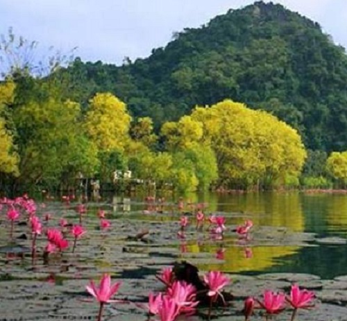 nang an lac dua huong son vao mua hoi xuan ava