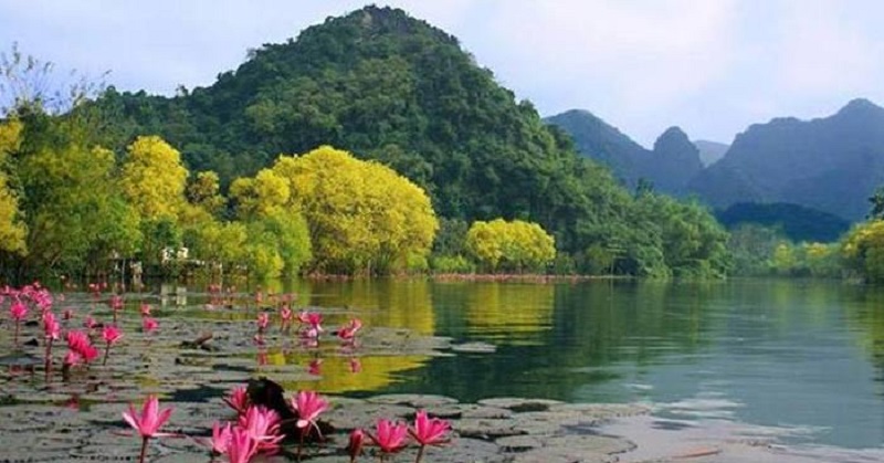 nang an lac dua huong son vao mua hoi